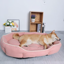 Load image into Gallery viewer, Plush Pet Sofa Bed with Cozy Cushion for Dogs and Cats