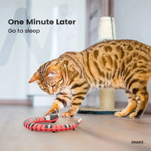 Load image into Gallery viewer, Interactive Cat Toys
