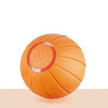 Load image into Gallery viewer, Pet Ball (Special Edition)