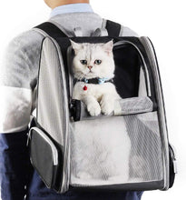 Load image into Gallery viewer, Backpack Carrier Cat