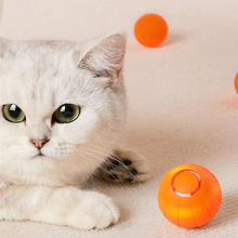 Load image into Gallery viewer, Pet Ball (Special Edition)