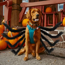 Load image into Gallery viewer, Pet Funny Spider Costume