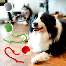 Load image into Gallery viewer, Smart Interactive Pet Ball Toy