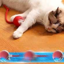 Load image into Gallery viewer, Smart Interactive Pet Ball Toy