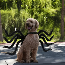 Load image into Gallery viewer, Pet Funny Spider Costume