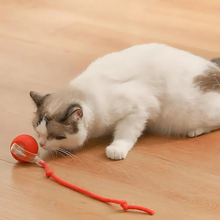 Load image into Gallery viewer, Smart Interactive Pet Ball Toy