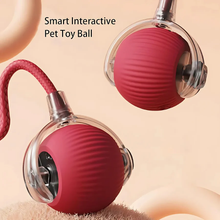 Load image into Gallery viewer, Smart Interactive Pet Ball Toy