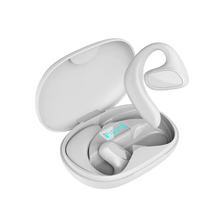 Load image into Gallery viewer, Language Translator Earbuds