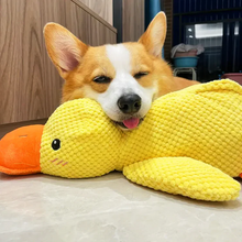 Load image into Gallery viewer, Calming Durable Duck
