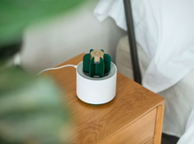 Load image into Gallery viewer, Mosquito Cactus Lamp