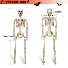 Load image into Gallery viewer, Life Size Halloween Skeleton Decoration with Adjustable Joints