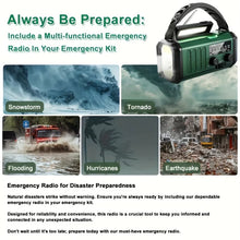 Load image into Gallery viewer, EcoPower Radiator Emergency Radio with Flashlight and USB Charger