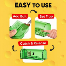 Load image into Gallery viewer, 4-Pack Mouse Trap