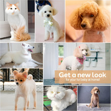 Load image into Gallery viewer, Dog Grooming Clippers Kit