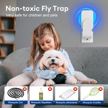 Load image into Gallery viewer, Indoor Fly Trap