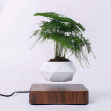 Load image into Gallery viewer, Levitating Plant Pot – Magnetic Floating Planter
