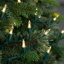 Load image into Gallery viewer, Twinkling LED String Lights with 100 Bulbs in Warm White and Multicolor for Christmas Trees and Wreaths