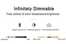Load image into Gallery viewer, Nordic Minimalist Moon Acrylic LED Mount Ceiling Light