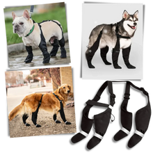 Load image into Gallery viewer, Waterproof Dog Suspenders Boots