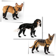 Load image into Gallery viewer, Waterproof Dog Suspenders Boots
