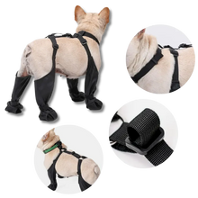 Load image into Gallery viewer, Waterproof Dog Suspenders Boots