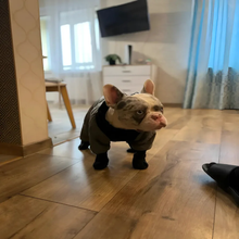 Load image into Gallery viewer, Dog Suspender Boots with Full Coverage and Non-Slip Sole