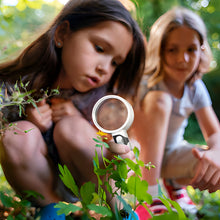 Load image into Gallery viewer, Optical Magnifying Glass