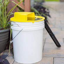 Load image into Gallery viewer, Bucket Trap Cover with Auto Reset Lid and Dual Ladders for Rodents
