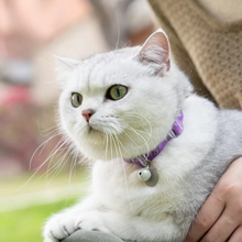 Load image into Gallery viewer, Soft Adjustable Cat Collar with Elastic Safety Strap for Easy Control and Comfort