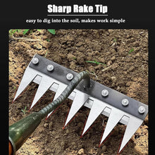 Load image into Gallery viewer, Iron Weeding Rake – Precision Carbon Steel Garden Tool