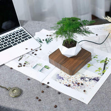 Load image into Gallery viewer, Levitating Plant Pot – Magnetic Floating Planter