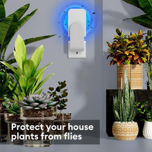 Load image into Gallery viewer, Indoor Fly Trap