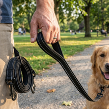 Load image into Gallery viewer, Padded Nylon Dog Leash Reflective 6.5ft