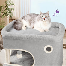 Load image into Gallery viewer, Cat Tree Light Indoor Climbing and Rest Tower