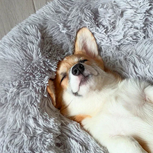 Load image into Gallery viewer, Calming Dog Bed