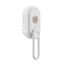 Load image into Gallery viewer, Easy Groom Steam Brush