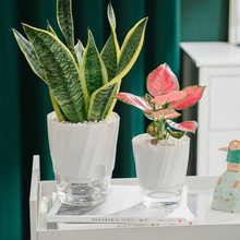 Load image into Gallery viewer, Self Watering Planter