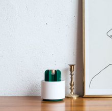 Load image into Gallery viewer, Mosquito Cactus Lamp