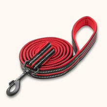 Load image into Gallery viewer, Padded Nylon Dog Leash Reflective 6.5ft