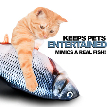 Load image into Gallery viewer, USB Floppy Fish Toy