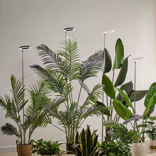 Load image into Gallery viewer, Grow Light For Indoor Plants