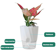 Load image into Gallery viewer, Self Watering Planter