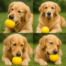 Load image into Gallery viewer, Multi-Function Dog Training Ring & Flying Disk - Durable Outdoor Play and Chew Toy