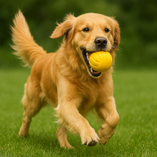 Load image into Gallery viewer, Multi-Function Dog Training Ring & Flying Disk - Durable Outdoor Play and Chew Toy