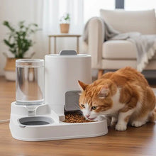 Load image into Gallery viewer, Cat Food Dispenser Automatic Gravity Feeder and Water Bowl