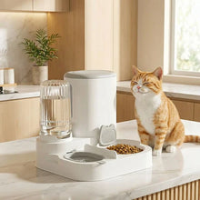 Load image into Gallery viewer, Automatic Cat Food and Water Dispenser 2-in-1 Gravity Feeder