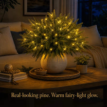 Load image into Gallery viewer, Light Up Norfolk Pine Branch with Warm Golden Twinkles Battery Powered in Classic Red Berry Or Frosted