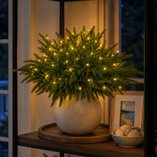 Load image into Gallery viewer, Light Up Norfolk Pine Branch with Warm Golden Twinkles Battery Powered in Classic Red Berry Or Frosted