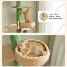 Load image into Gallery viewer, Ceiling Mounted Cat Tree Cactus Design for Indoor Cats