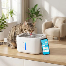 Load image into Gallery viewer, Cat Water Fountain Continuous Filtration White